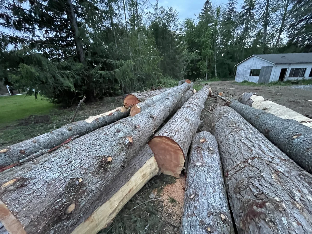 Cleared trees bucked and stacked during a land clearing job in Washington